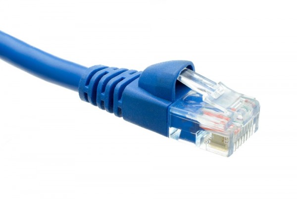 Blue Ethernet cable plug ethernet cable plug