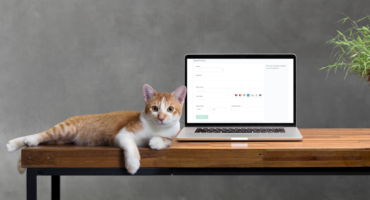 SumUp virtual terminal with cat