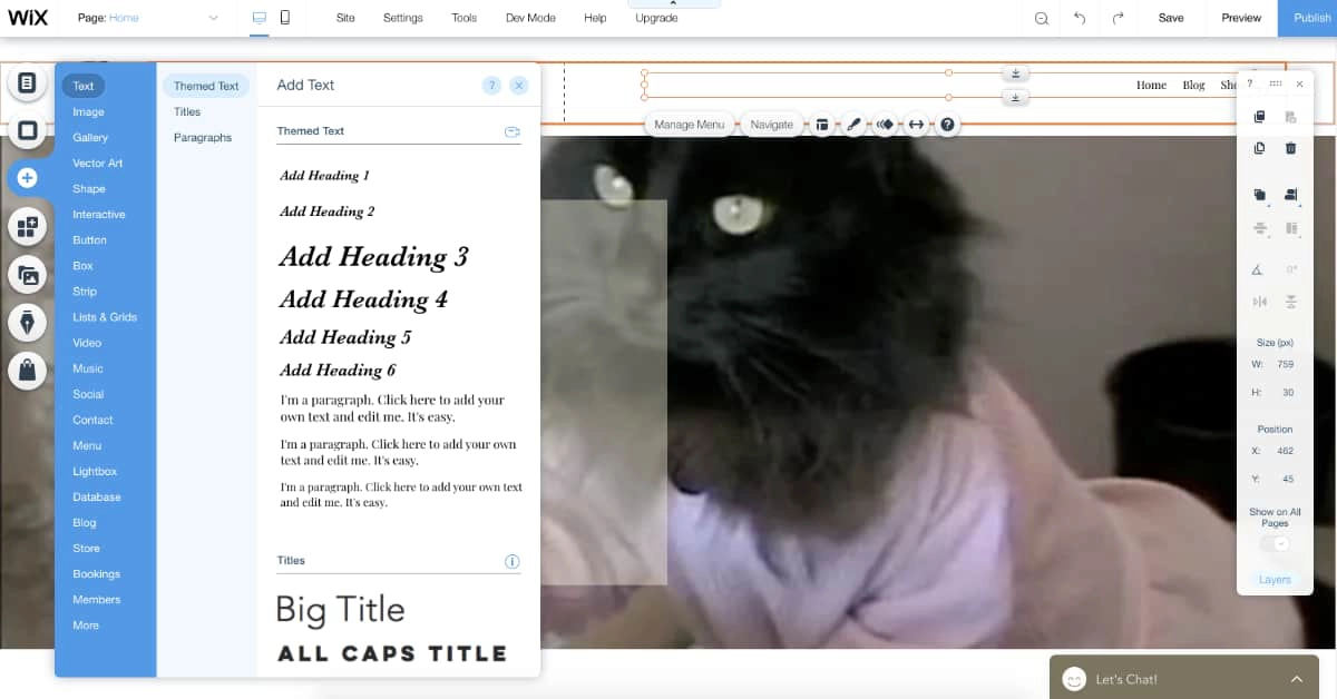 Wix Editor example Wix Editor example