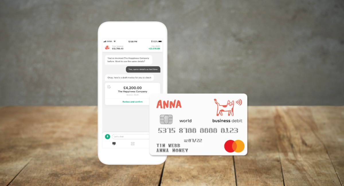 Anna Business account review