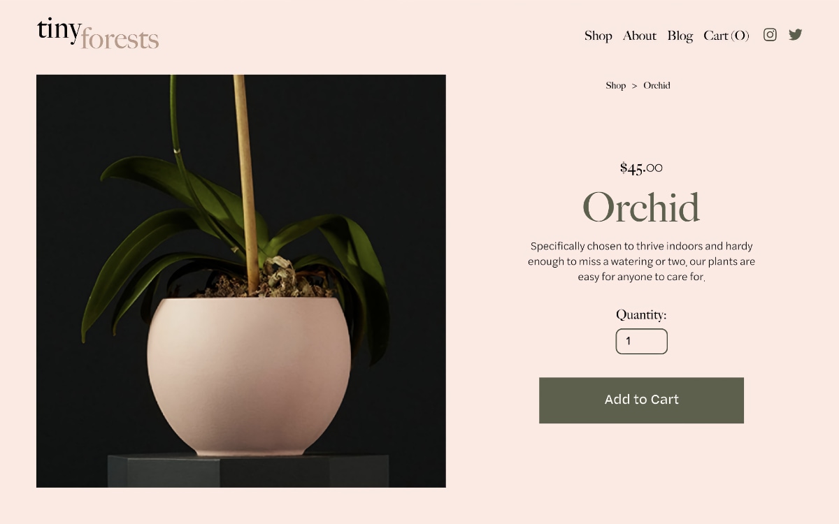 Squarespace ecommerce example Squarespace ecommerce example