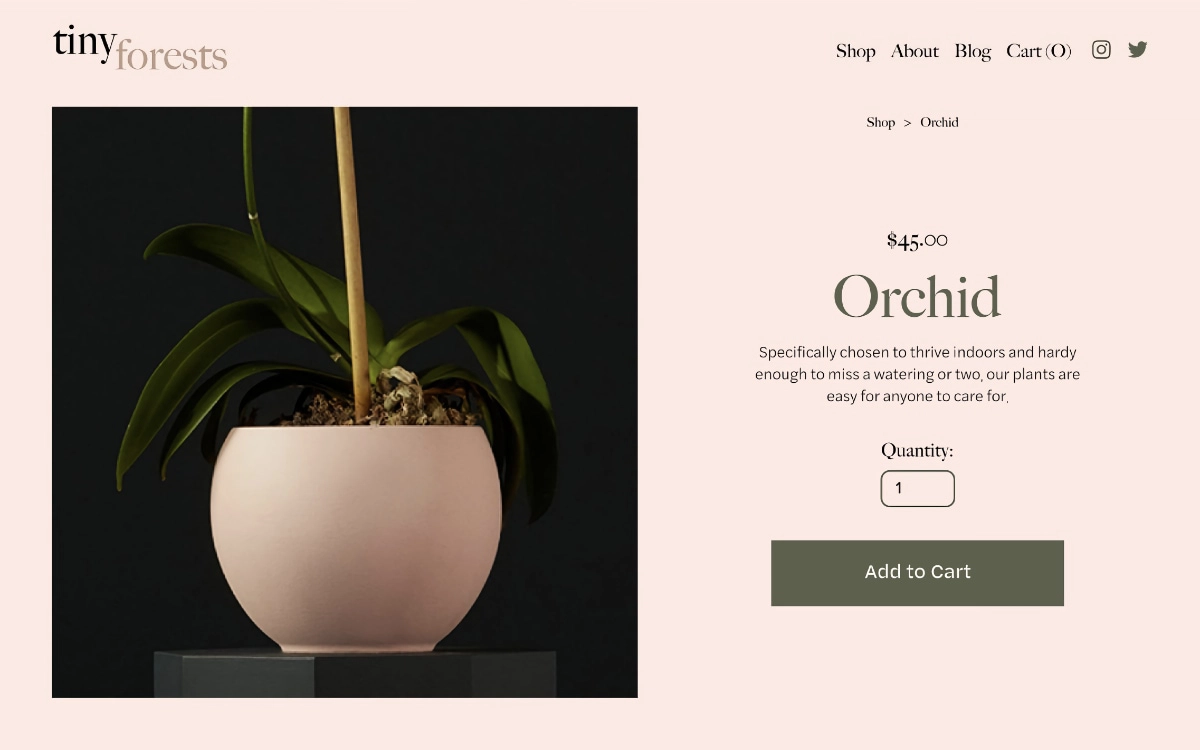 Squarespace ecommerce example Squarespace ecommerce example