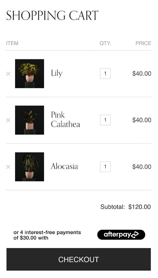 Squarespace checkout with Afterpay option Squarespace Afterpay checkout