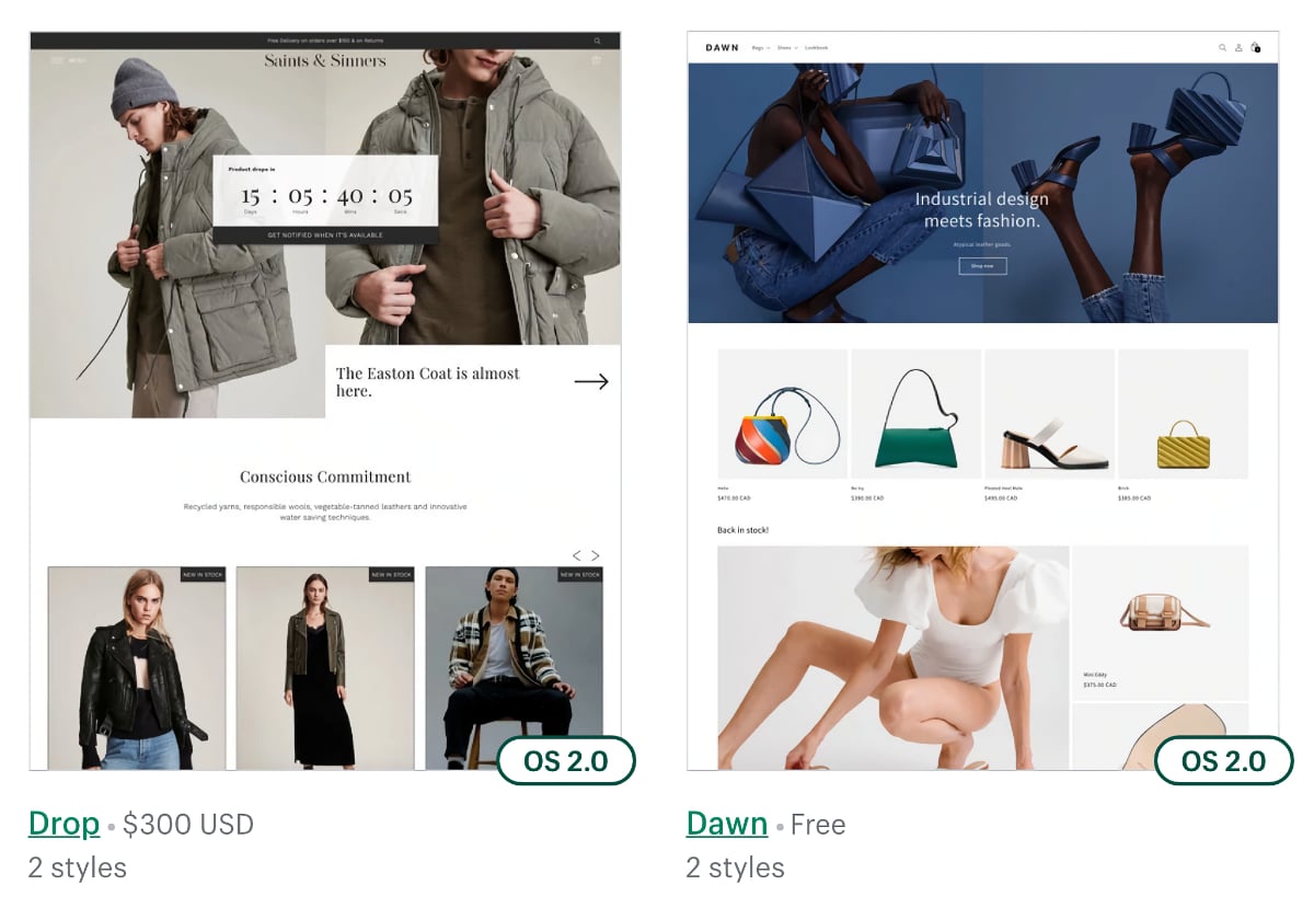 Shopify themes – paid and free examples Shopify
